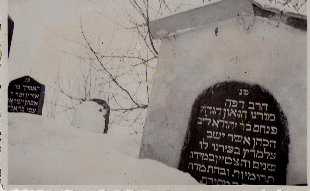 Grabsteine juedischer Friedhof Litauen Birzai